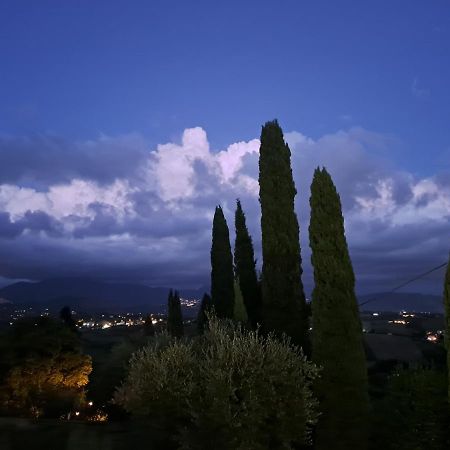 Villa The Green Door - Casa Vacanze Vicino A Roma 폰테누오바 외부 사진